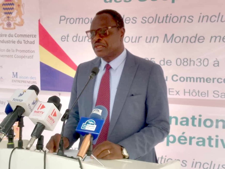 ​Le Tchad célèbre les coopératives, bâtisseuses d'un monde meilleur