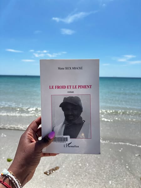 Le Froid et le piment : Un témoignage poignant sur la vie des immigrés africains en France