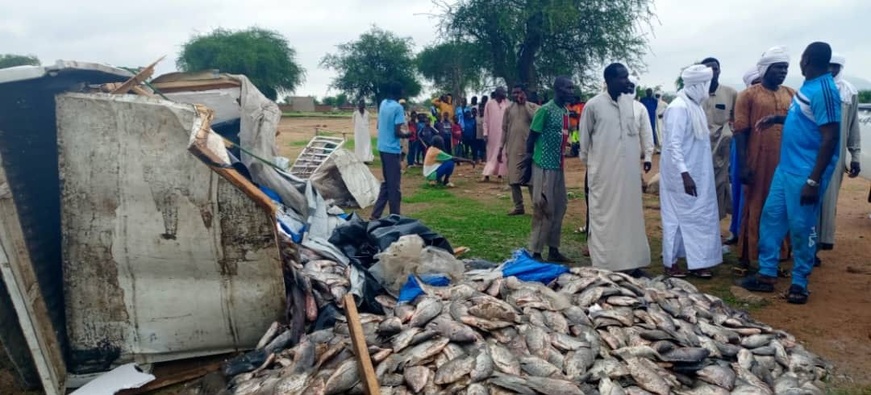 Tchad : Accident sur l'axe Abéché-Mongo, quatre blessés et un véhicule de poisson renversé Tchad : Accident sur l'axe Abéché-Mongo, quatre blessés et un véhicule de poisson renversé