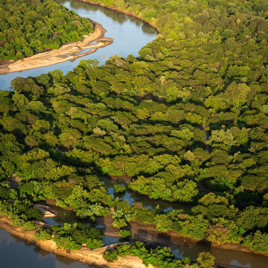 Tchad - Tourisme : Le Parc National de Zakouma, un trésor naturel à préserver et à faire rayonner Tchad - Tourisme : Le Parc National de Zakouma, un trésor naturel à préserver et à faire rayonner