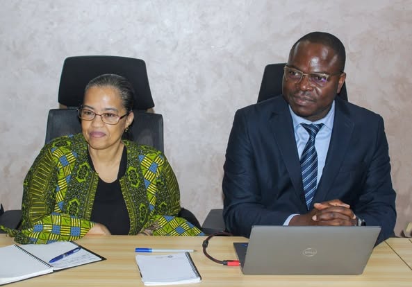 Tchad : Mission d'assistance technique de l'OACI pour l'Aviation Civile