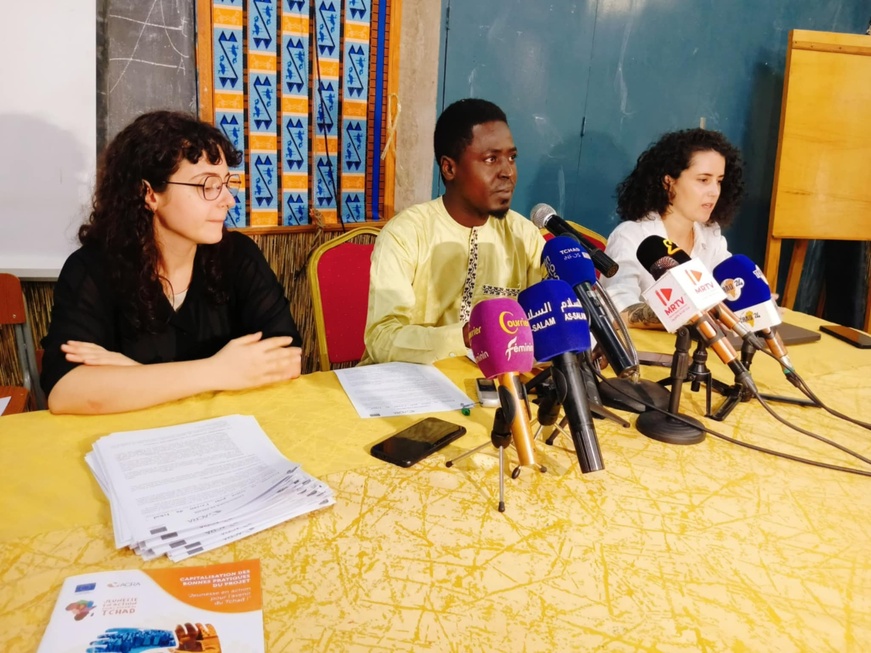 Tchad : L'ONG ACRA fait le bilan des quatre années d'activité du projet "Jeunesse en action"