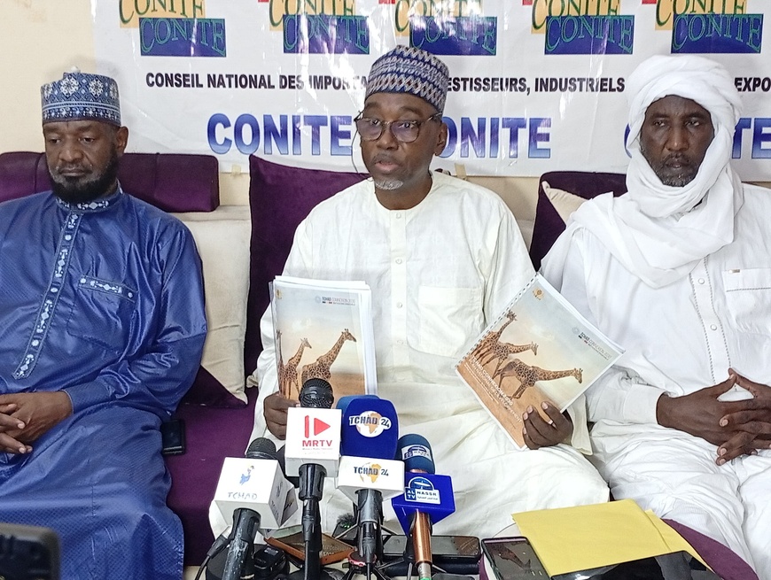 Tchad : le CONITE soutient le Programme national du développement (PND) « Tchad connexion 2030 » Tchad : le CONITE soutient le Programme national du développement (PND) « Tchad connexion 2030 »