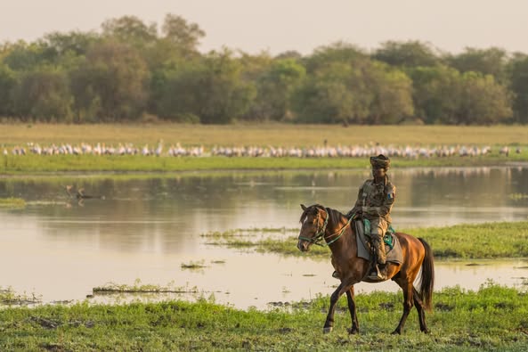 Info : Zakouma National Park  📷Marcus Westberg