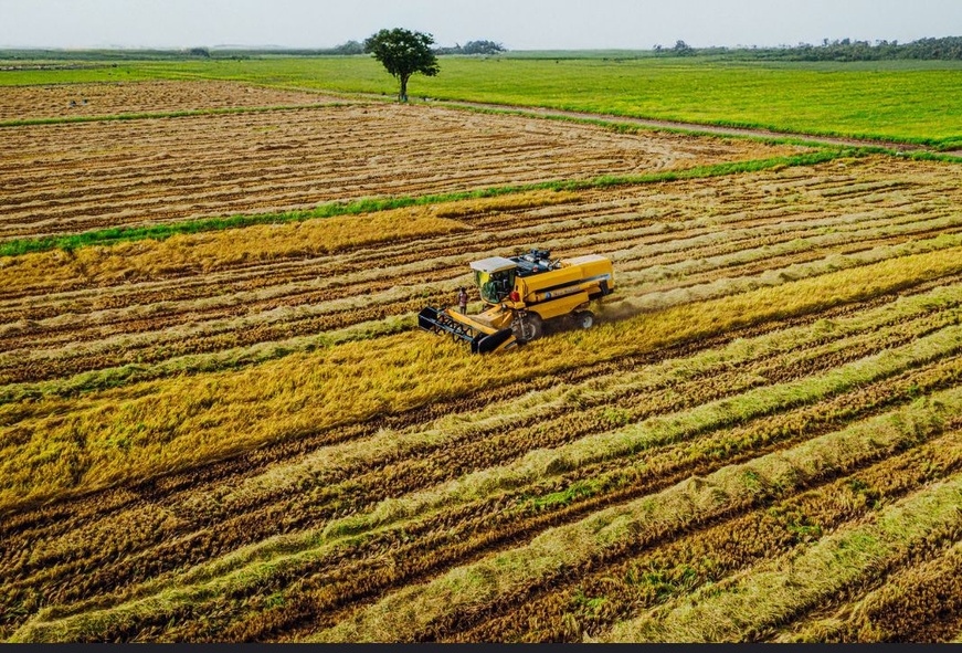 Nigeria : participation de la BAD à la cérémonie inaugurale de la zone spéciale de traitement agro-industriel dans l’État d’Oyo Nigeria : participation de la BAD à la cérémonie inaugurale de la zone spéciale de traitement agro-industriel dans l’État d’Oyo