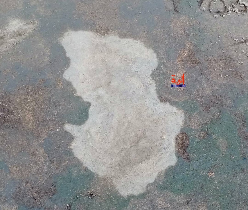 Tchad : Une apparition mystérieuse intrigue les habitants de Bédjondo, au Mandoul