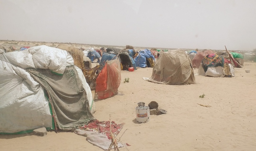 La détresse des déplacés du lac Tchad : le camp de Dar-es-Salaam au cœur du drame