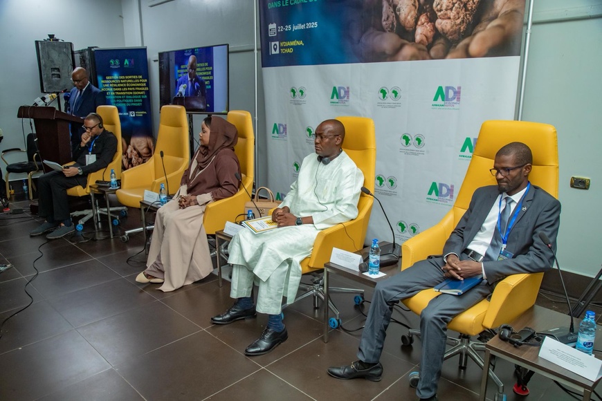 Tchad-BAD : rencontre sur la bonne gouvernance et la lutte contre les flux financiers illicites Tchad-BAD : rencontre sur la bonne gouvernance et la lutte contre les flux financiers illicites