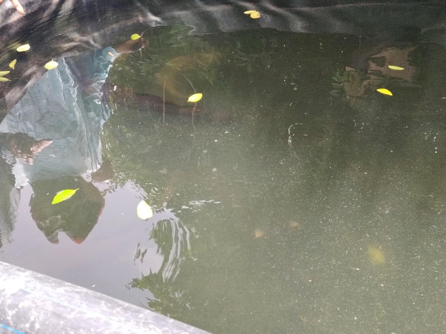 Tchad :  visite du délégué général du gouvernement à la pisciculture de Mao