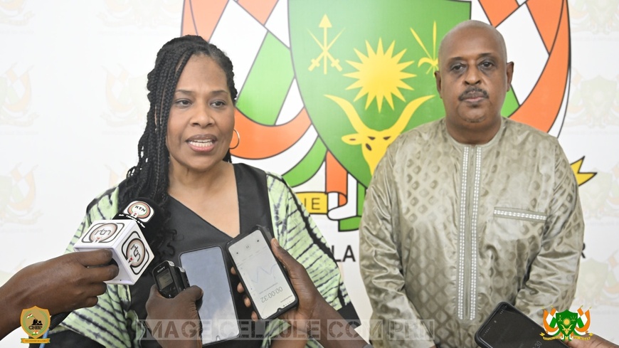Niger : le président de la République reçoit l’activiste Nathalie Yamb