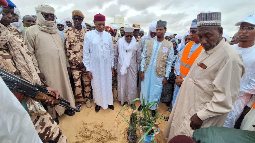 Tchad : Le CERCAK offre 100 palmiers-dattiers pour la Muraille Verte dans le Kanem Tchad : Le CERCAK offre 100 palmiers-dattiers pour la Muraille Verte dans le Kanem