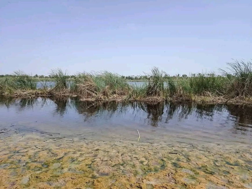 Tchad : affrontement meurtrier autour d’un champ à 60km de Mao Tchad : affrontement meurtrier autour d’un champ à 60km de Mao