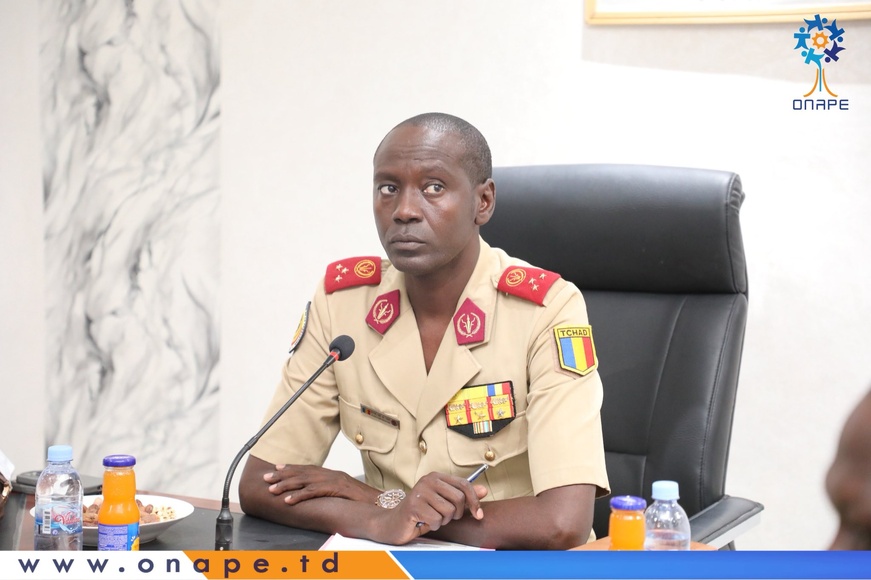 Tchad : rencontre de travail entre l’ONAPE et l’OGEMIP