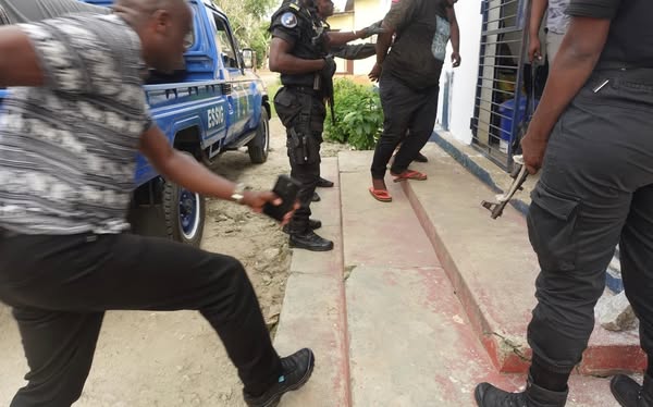 Afrique :  34 trafiquants d’espèces fauniques arrêtés dans 5 pays africains