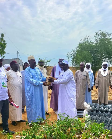 Tchad : Biltine reçoit 9 000 plants pour une ceinture verte