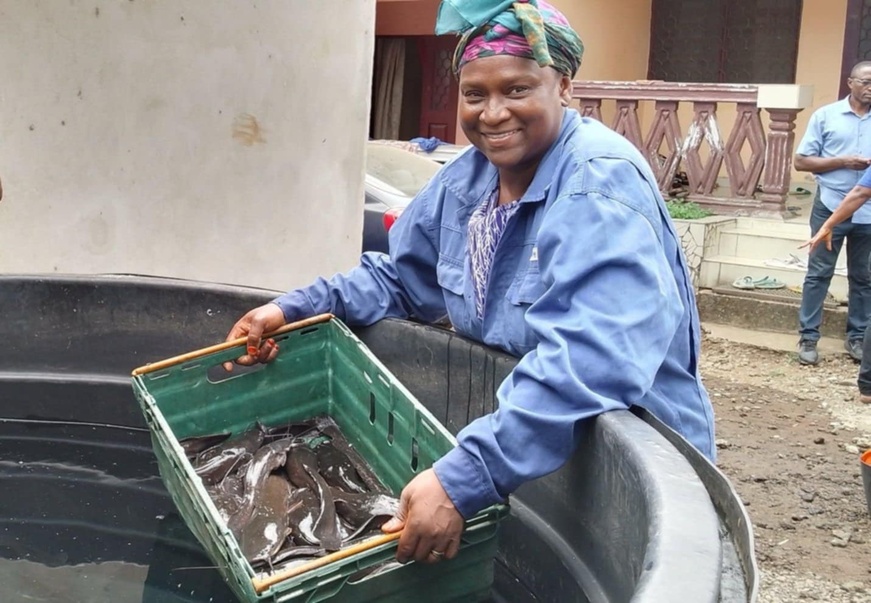 Cameroun : le pari gagnant de la pisciculture pour améliorer les conditions de vie des populations Cameroun : le pari gagnant de la pisciculture pour améliorer les conditions de vie des populations