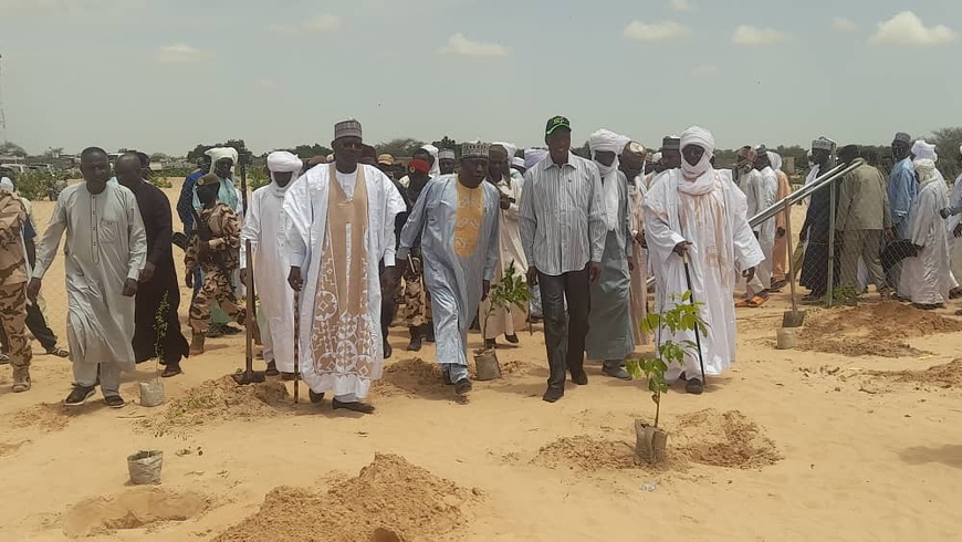 Tchad : 500 arbres plantés pour lutter contre la désertification Tchad : 500 arbres plantés pour lutter contre la désertification