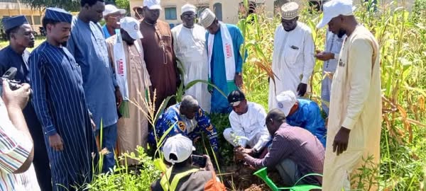 Tchad : Des associations plantent des arbres à Moundou