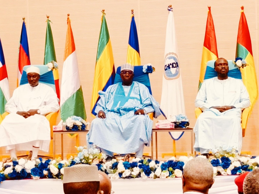 Tchad : N'Djamena abrite la 59ème session du conseil des ministres de l'OHADA