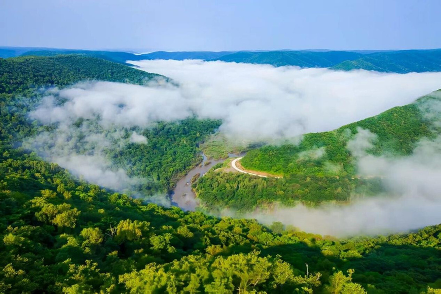 Photo shows forests managed by the Hebei Forest Bureau. (Photo/Liu Changjian) Photo shows forests managed by the Hebei Forest Bureau. (Photo/Liu Changjian)