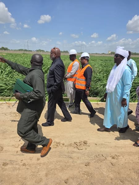 Tchad : Un mois de délai pour la SOPROFIM après une visite ministérielle