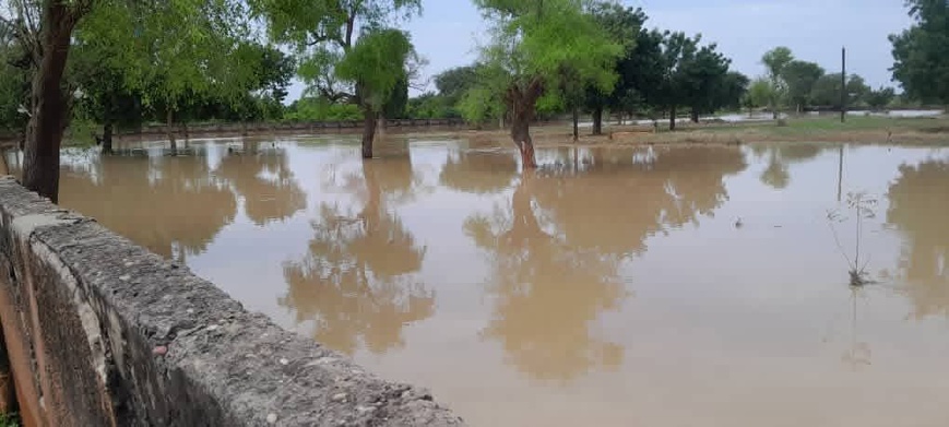 Info et Image : Direct Niger Info et Image : Direct Niger