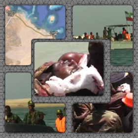 One Somaliland Coast Guard Officer Dies in Skirmish with Djiboutian Navy