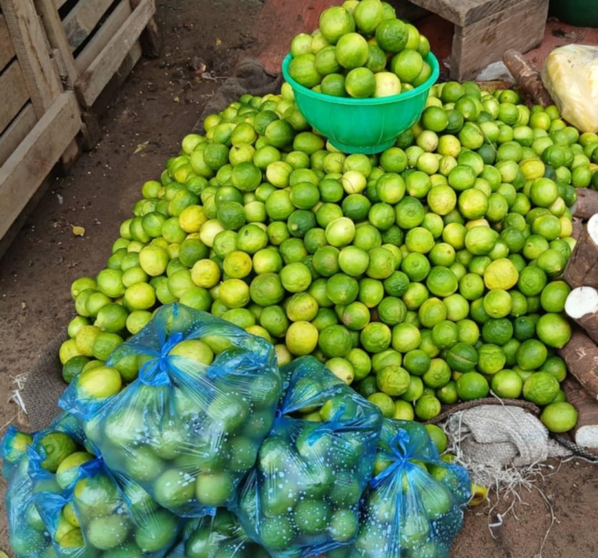 Tchad : abondance de citrons sur le marché, une opportunité pour les petits commerçants