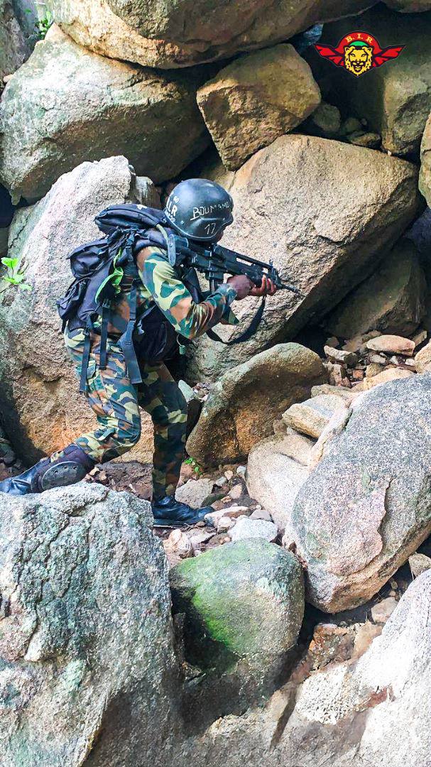 Cameroun : Le BIR neutralise un chef de gang et libère quatre otages dans le Mayo Tsanaga près de la frontière du Nigeria