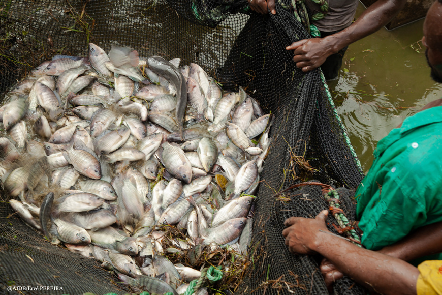 Une nouvelle étude de la BAD souligne le caractère vital de la pêche continentale pour des millions de personnes