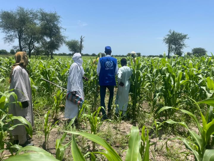 L'OIM et le Japon soutiennent la résilience des retournés tchadiens