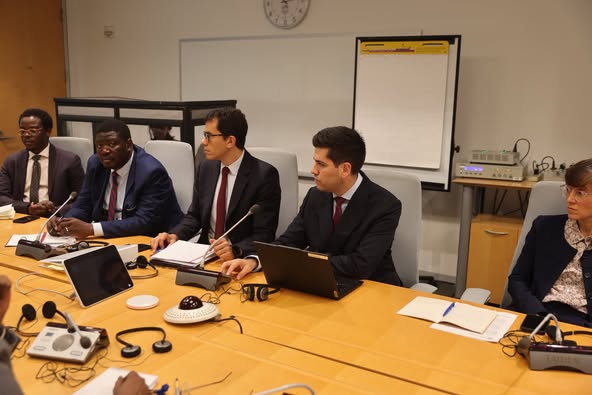 FMI-Tchad : réunion de travail avec le Département des Affaires Fiscales