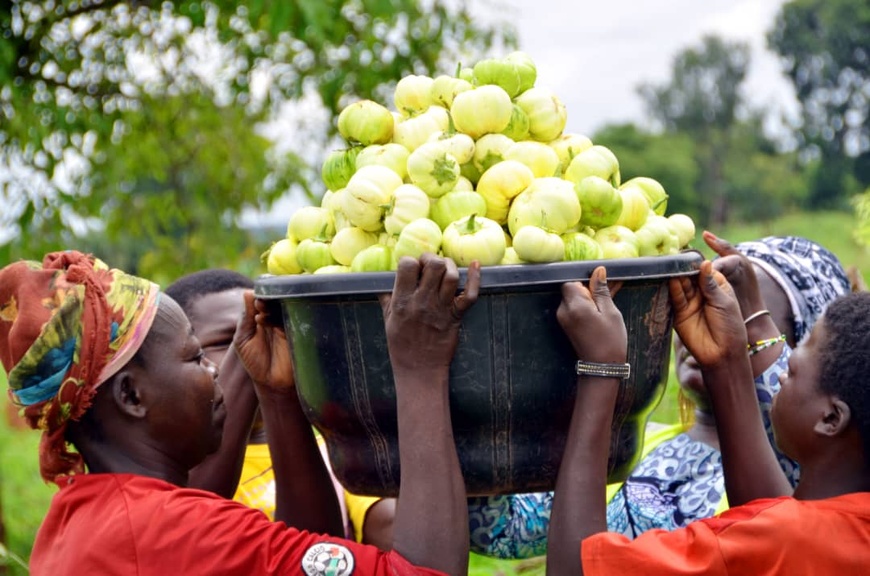 Tchad : des matériels techniques offerts à 50 femmes par la Cotontchad SN/ Olam Agri