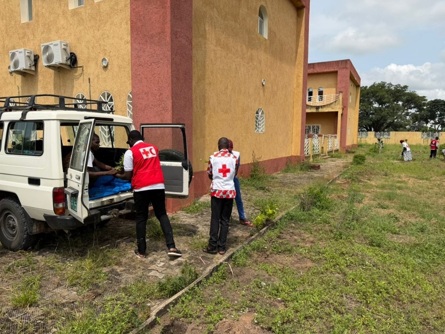 Tchad : Une opération de reboisement pour la résilience post-inondations (Logone Oriental)