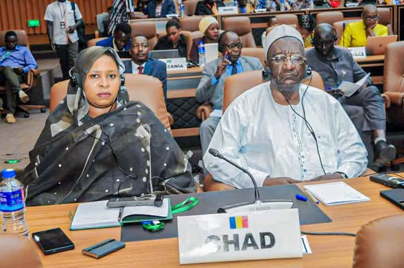 Tchad/Gambie : La Ministre Déléguée aux assises de la CADHP