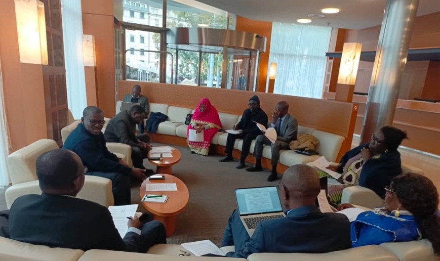 Tchad : la CNDH défend son dossier d’accréditation au statut « A » devant les Nations Unies Tchad : la CNDH défend son dossier d’accréditation au statut « A » devant les Nations Unies