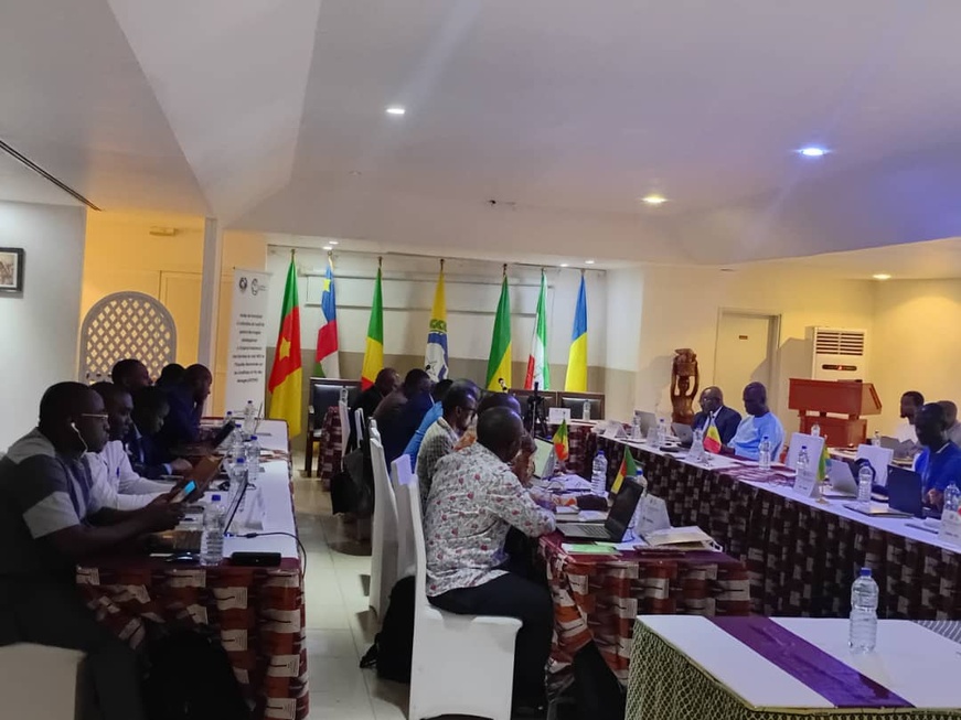 Tchad : Atelier de Formation sur l'Utilisation des Images par le Volet des Standards des Ménages (EHCVM)