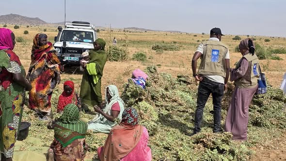 Tchad - Abéché : De l'espoir dans les champs pour les femmes bénéficiaires