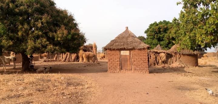 Tchad : dans le Lac Léré, un malade mental tue deux personnes chez un guérisseur traditionnel à Trené