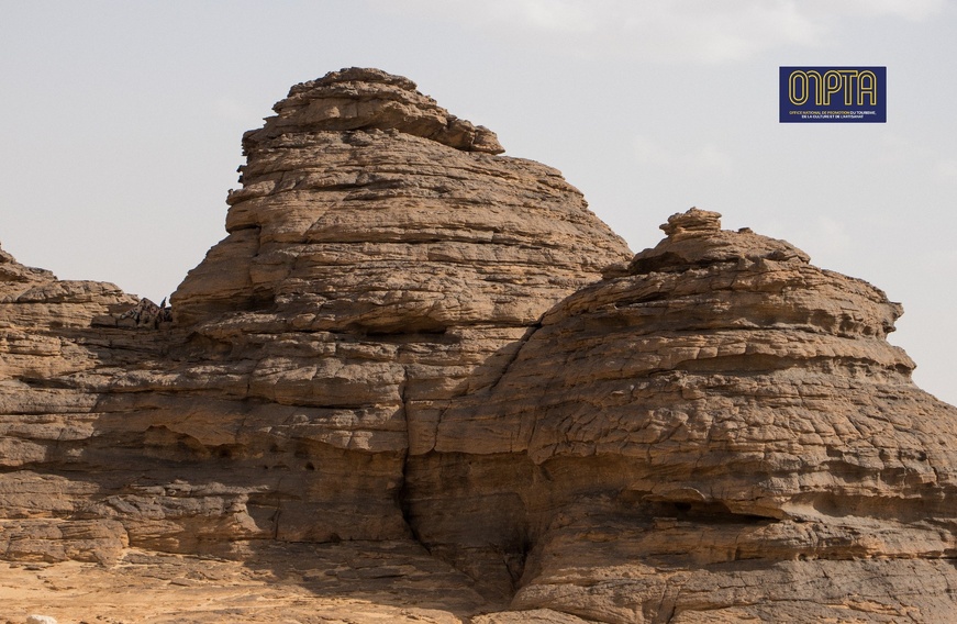 Images et Info: ONPTA Images et Info: ONPTA