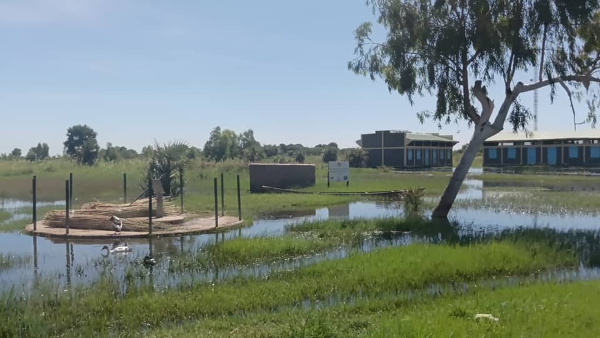 Tchad : à Kinasserom, quand l’eau menace l’éducation d’une génération Tchad : à Kinasserom, quand l’eau menace l’éducation d’une génération