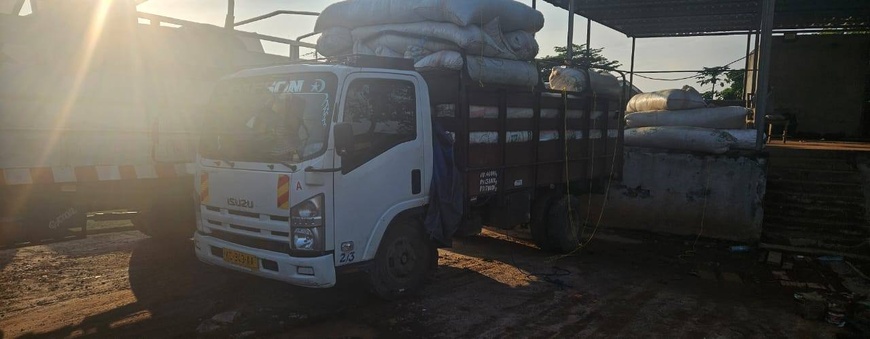 Gabon : Saisie massive de "Kobolo" à Bitam en provenance du Cameroun