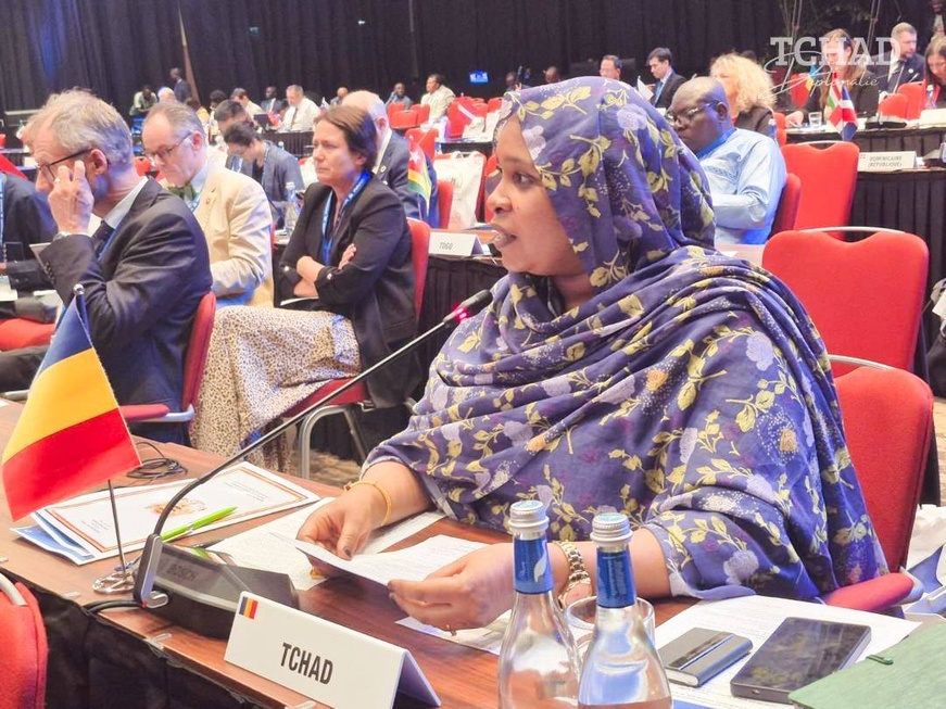Francophonie : La Ministre déléguée Fatimé Aldjineh Garfa porte la voix du Tchad à la 46e conférence ministérielle Francophonie : La Ministre déléguée Fatimé Aldjineh Garfa porte la voix du Tchad à la 46e conférence ministérielle