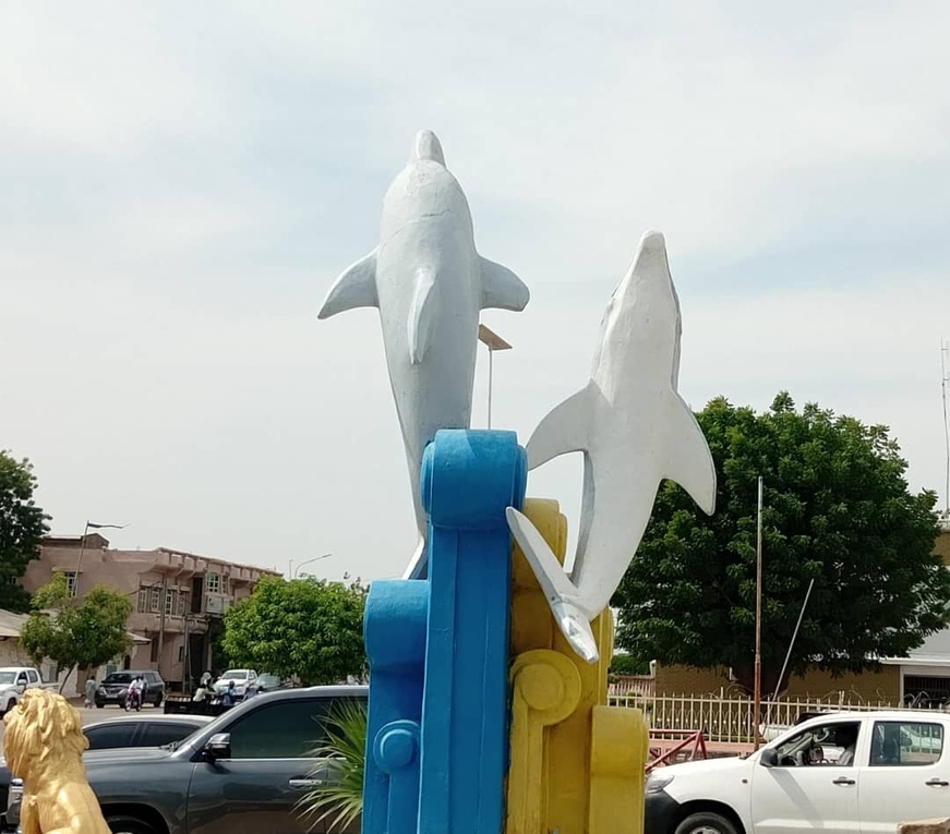 N'Djamena : Que font des dauphins au cœur du Sahel ? N'Djamena : Que font des dauphins au cœur du Sahel ?