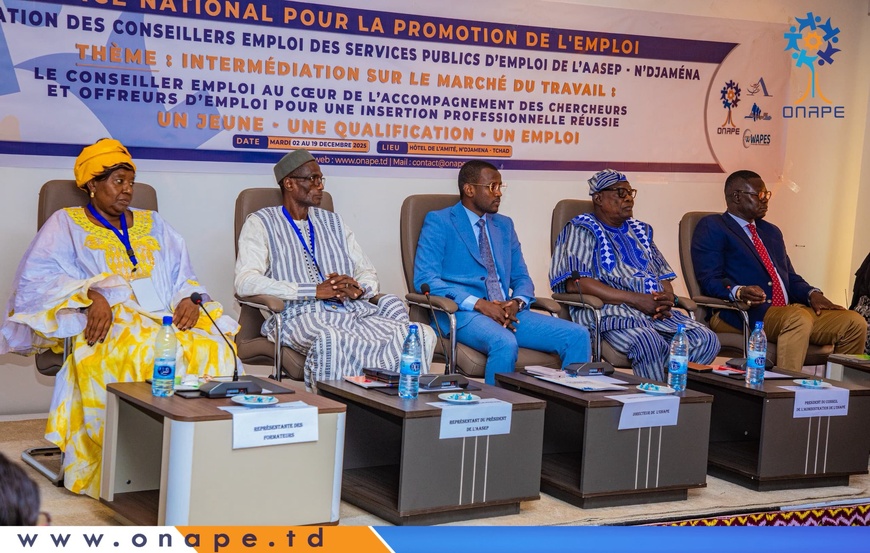 Tchad : session de formation des conseillers emploi des SPE membres de l’AASEP Tchad : session de formation des conseillers emploi des SPE membres de l’AASEP