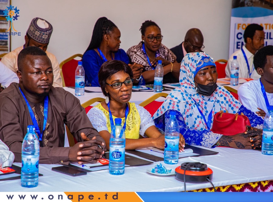 Tchad : session de formation des conseillers emploi des SPE membres de l’AASEP Tchad : session de formation des conseillers emploi des SPE membres de l’AASEP