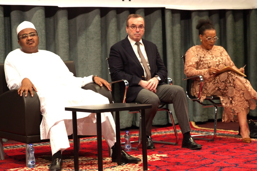 Tchad : Lancement de l’Année Internationale des Volontaires pour le Développement Durable