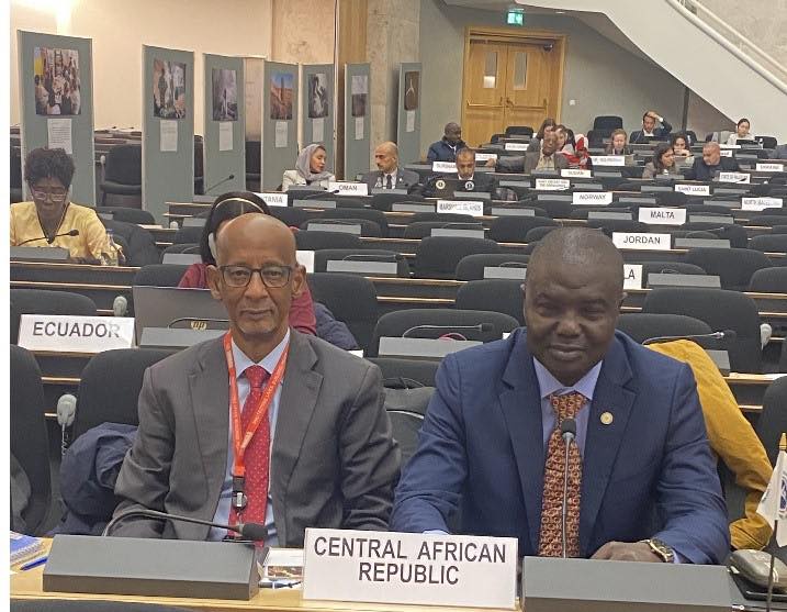 RCA : Engagement renouvelé à l’ONU pour l’interdiction totale des mines antipersonnel