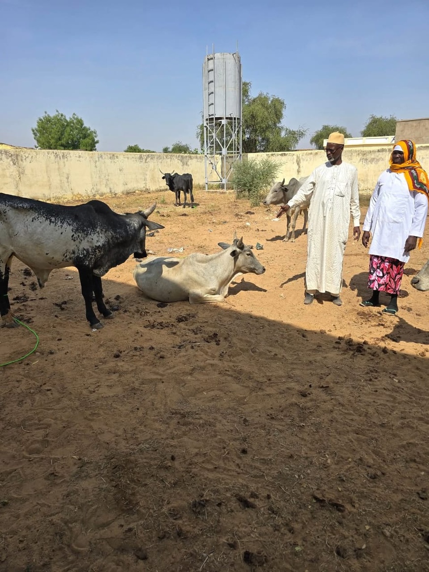 Tchad : Des équipements pour l'autonomisation des femmes dans le secteur du séchage de viande à Goz-Beïda Tchad : Des équipements pour l'autonomisation des femmes dans le secteur du séchage de viande à Goz-Beïda