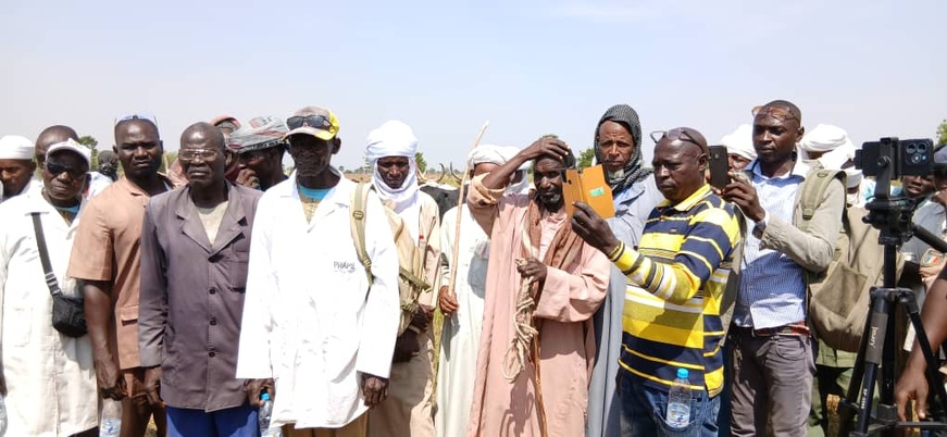 Tchad : Lancement d'une campagne de sensibilisation à la vaccination animale à Béré dans la Tandjilé Tchad : Lancement d'une campagne de sensibilisation à la vaccination animale à Béré dans la Tandjilé